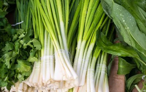 Spring Onions Stock Photos