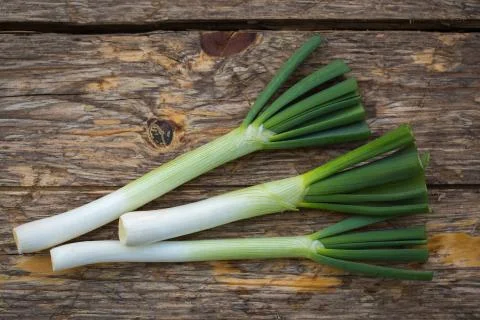 Spring onions Stockfoto's