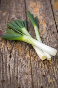 Spring onions Stock Photos