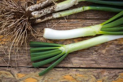 Spring onions Stock Photos