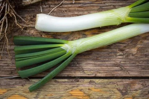 Spring onions 스톡 사진