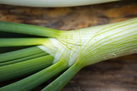 Spring onions Stock Photos