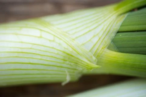 Spring onions Stock Photos