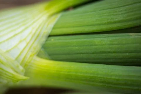 Spring onions Stock Photos