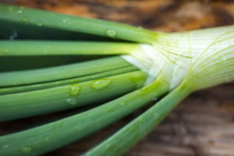 Spring onions Stock Photos