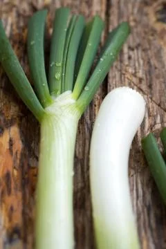 Spring onions Stock Photos