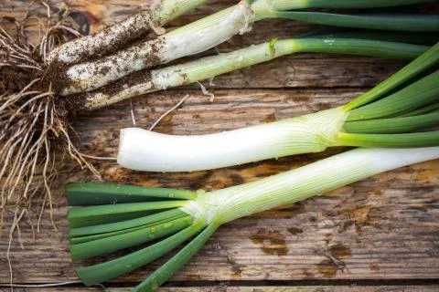 Spring onions Foto stock