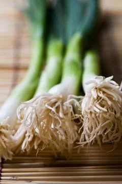 Spring onions Stock Photos