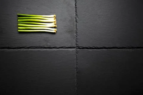 Spring Onions on Slate Stock Photos