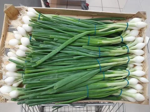 Spring Onions on wooden basket 스톡 사진