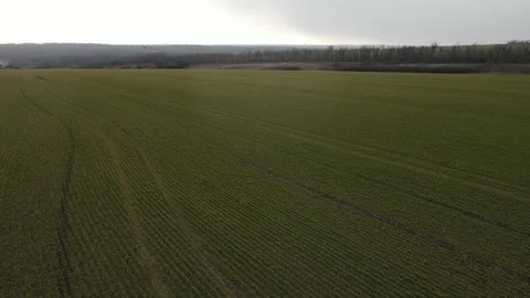 Spring, open field, sky, sun, drone video, beauty Stock Footage 150973082