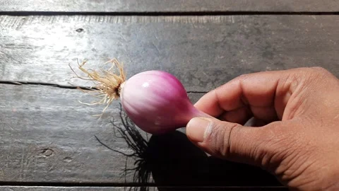 Spring or green onion. 库存影片 239085524