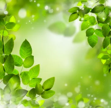 Spring or summer abstract background with bokeh lights. Stock Illustration