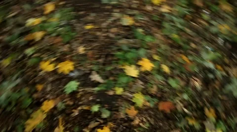 Spring or summer abstract season nature background with flower Stock Footage 54499352