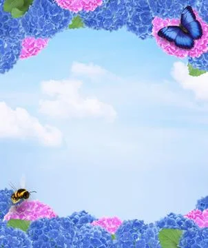 Spring or Summer Flowers Framing a Sunny Blue Sky Stock Photos