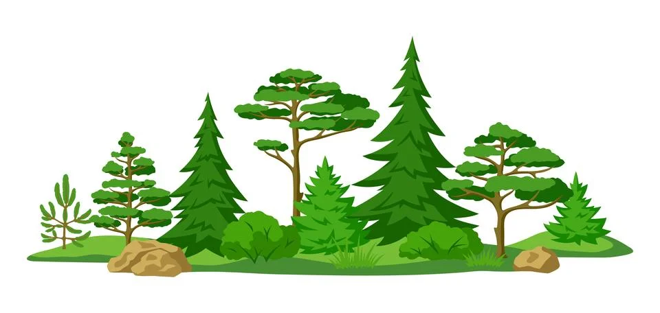 Spring or summer forest. Background with stylized trees. Seasonal illustration. Stock Illustration