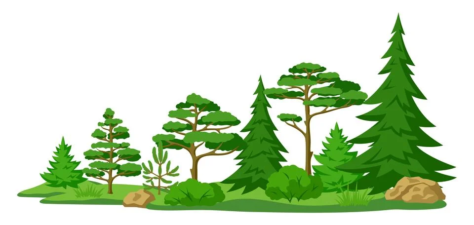 Spring or summer forest. Background with stylized trees. Seasonal illustration. Stock Illustration