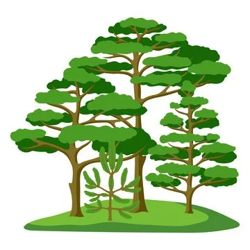 Spring or summer forest. Background with stylized trees. Seasonal illustration. Stock Illustration