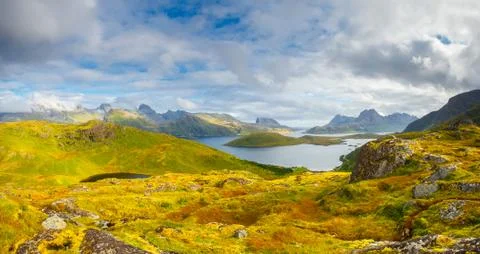 Spring or summer landscape Stock Photos