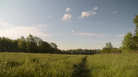 Spring or summer landscape. Rural road in a green field against a blue sky with Video stock 131966124