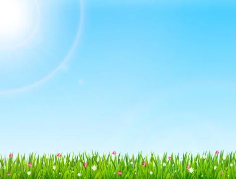Spring or summer nature background with green grass and flowers. Vector illus Stock Illustration