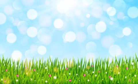 Spring or summer nature background with green grass and flowers. Vector illus Stock Illustration