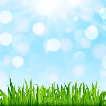 Spring or summer nature background with green grass, blue sky and bokeh. Vect Stock Illustration