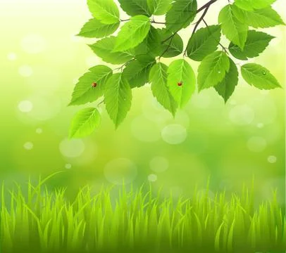 Spring or summer season abstract nature background Stock-Illustration