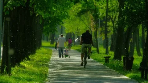 Spring (or summer) snow - Park in the Zagreb Stock Footage
