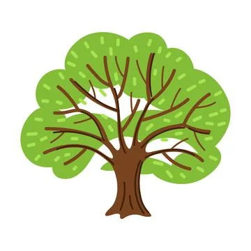 Spring or summer stylized tree with green leaves. Stock Illustration