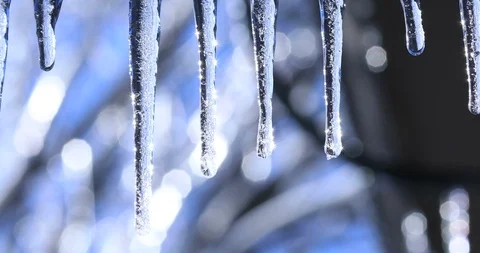 Spring or winter landscape with crystal icicles and falling shiny drops Stock Footage 106272526