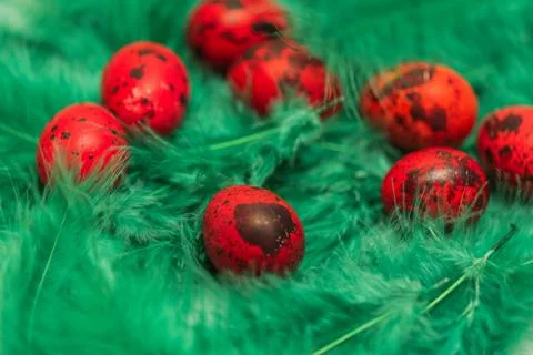 Spring organic easter concept dyed easter eggs, quail eggs, feathers. Happy e Stock Photos
