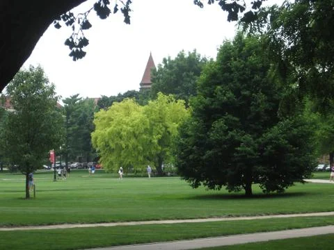 Spring at OSU Stock Photos