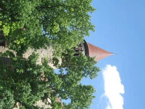 Spring at OSU Stock Photos