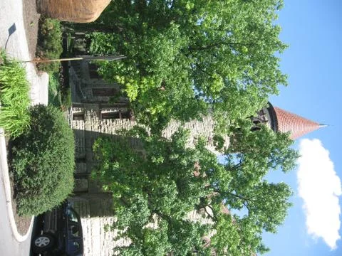 Spring at OSU Stock Photos