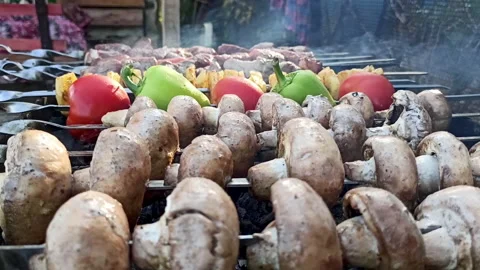 Spring outdoor recreation. Close-up of kebabs on an open fire outside. Stock Footage 159480308