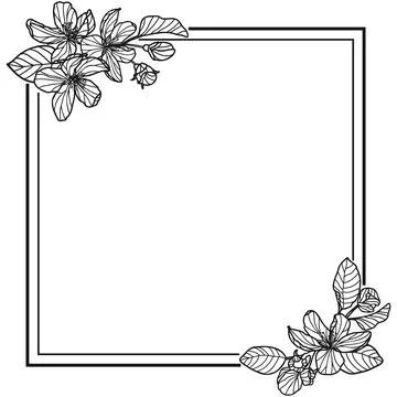 Spring Outline Apple Tree Blossom Frame 库存插图
