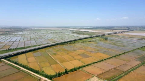 Spring paddy field irrigation - aerial view of the Yellow River Bridge Vídeo Stock 293337357