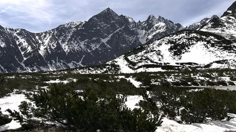 Spring panorama of snow-capped mountains Stock Photos