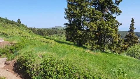 Spring Panorama of Vitosha Mountain, Bulgaria 스톡 동영상 337624735