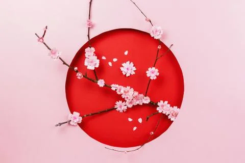 Spring papercraft composition with sakura branch on pink and red Stock Photos