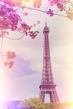 Spring at Paris with Eiffel Tower and blooming cherry blossom tree vintage fi Stock Photos