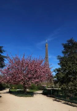 Spring in paris 스톡 사진