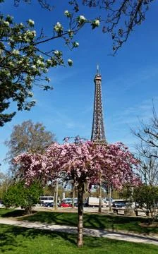 Spring in paris 写真素材