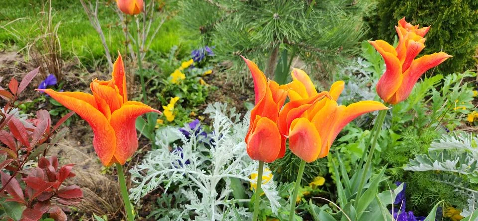Spring in Paris Stock Photos