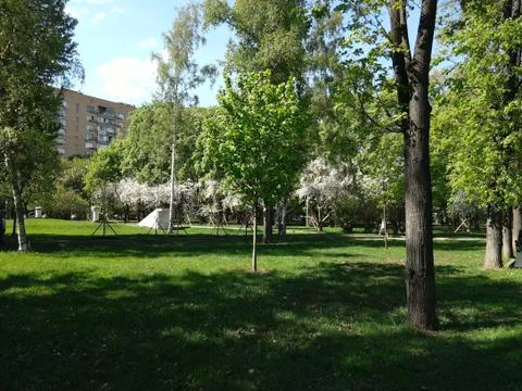 Spring park 1 Foto stock