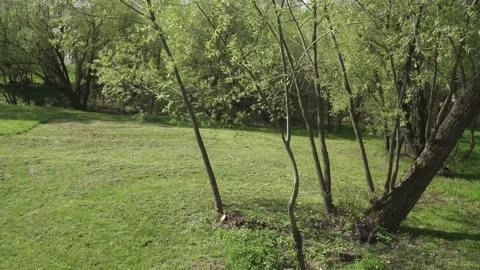 Spring park and footbridge Stock Footage 130706458