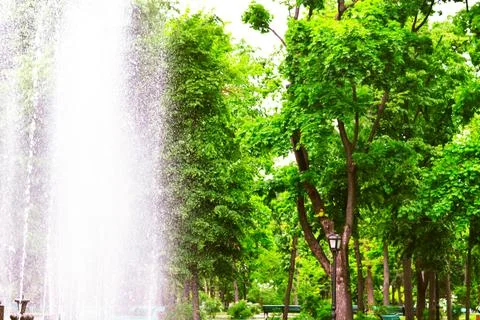 Spring Park and the work Stock Photos