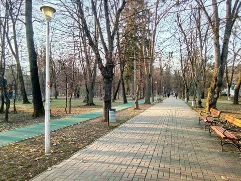 Spring in the park - Baia Mare Foto stock