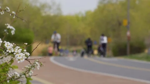 Spring Park Bike Vídeo Stock 106045767
